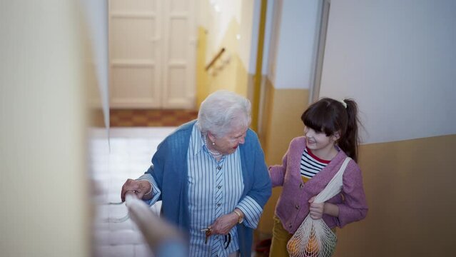 Elderly care service with compassionate home support